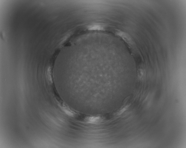 X0000070350575200606161319