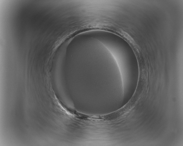 X0000070350577200606161319