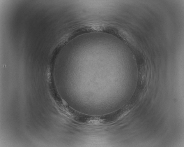 X0000070350595200606161318