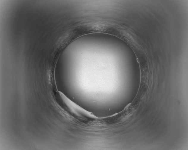 X0000070350597200606161318