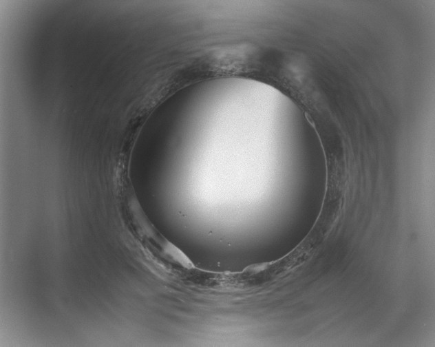 X0000070350601200606161318