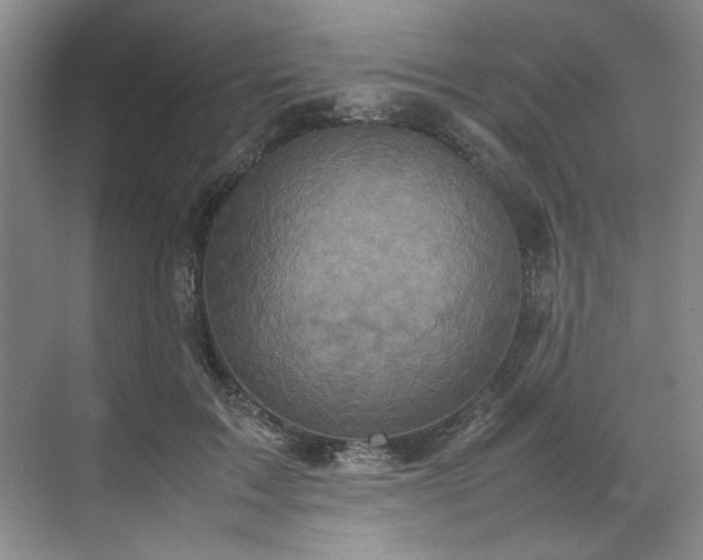 X0000070350603200606161318