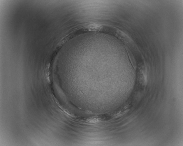 X0000070350604200606161318
