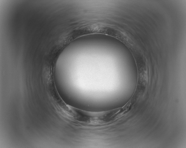 X0000070350605200606161318