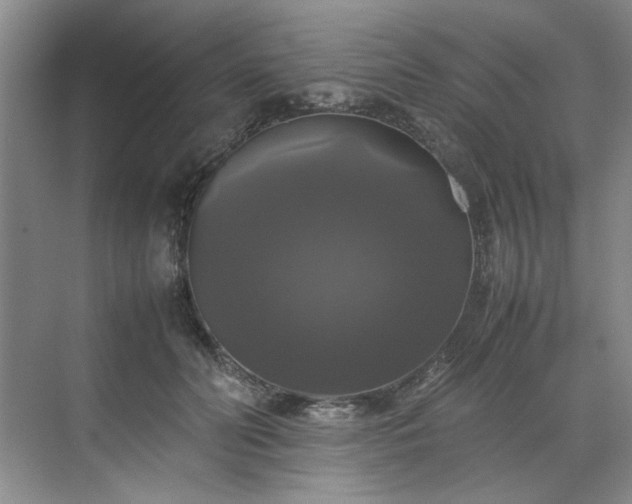 X0000070350606200606161318