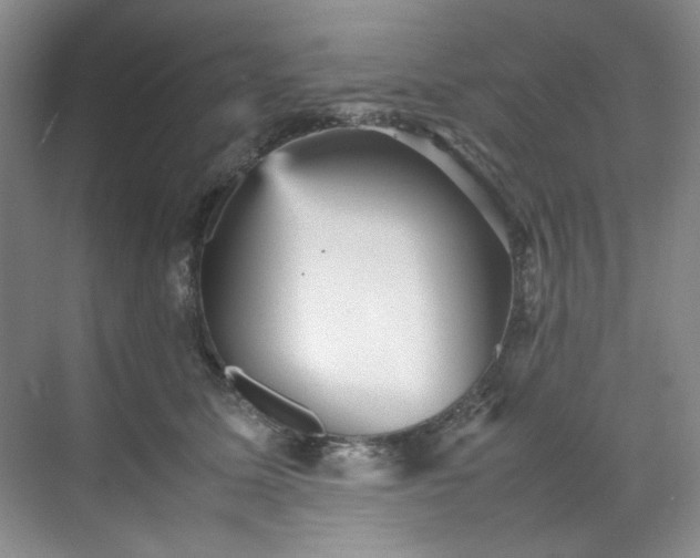 X0000070350611200606161318