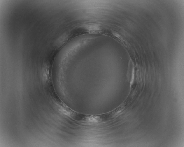 X0000070350618200606161318