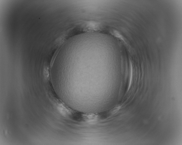 X0000070350621200606161318
