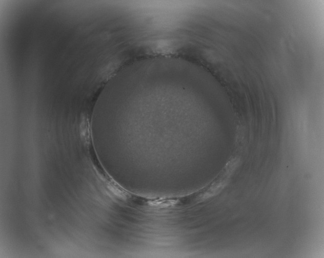 X0000070350624200606161318