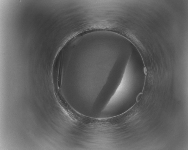 X0000070350626200606161317