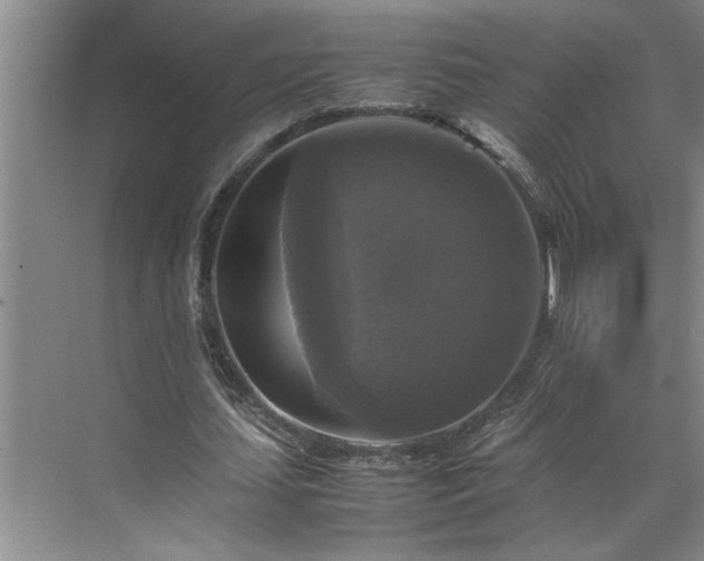 X0000070350627200606161317