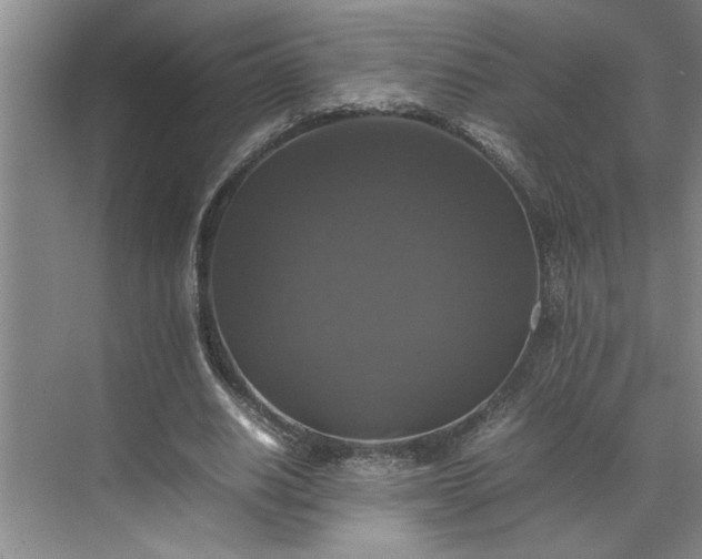 X0000070350630200606161317