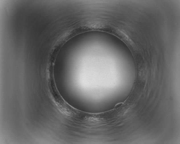 X0000070350635200606161317