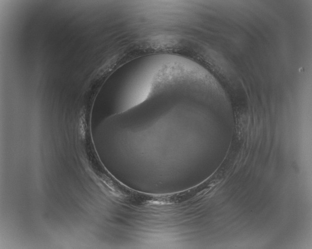 X0000070350644200606161317