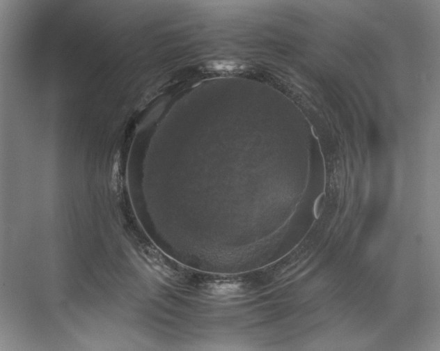 X0000070350651200606161317