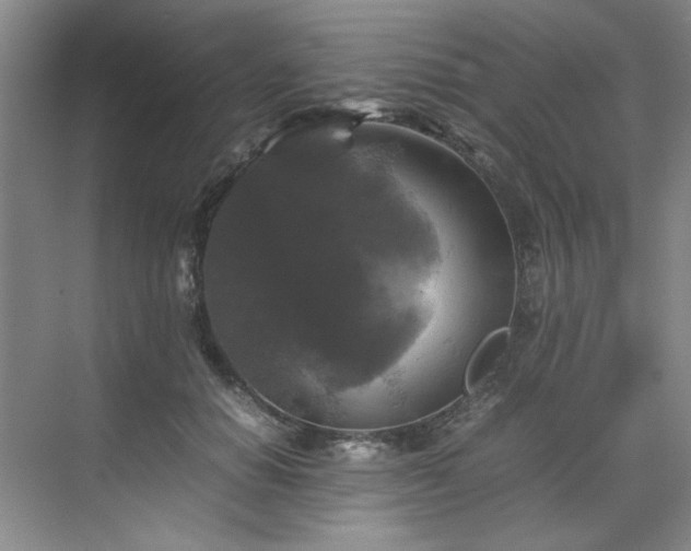X0000070350654200606161318