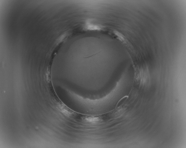 X0000070350669200606161318