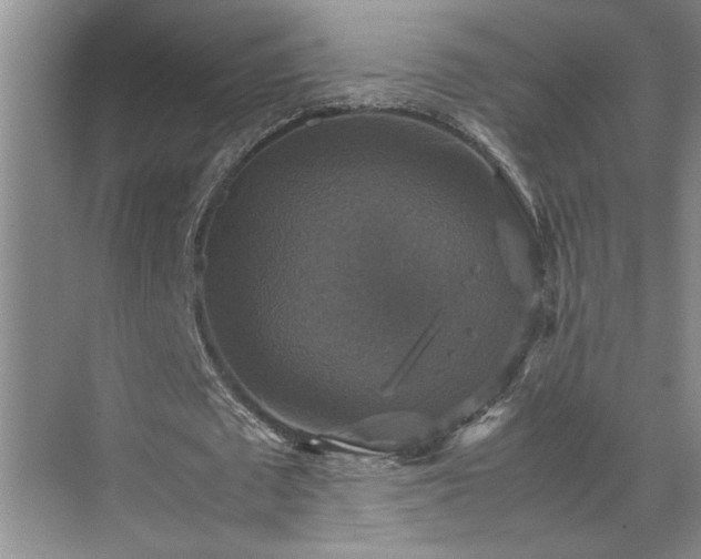 X0000070350673200606161317