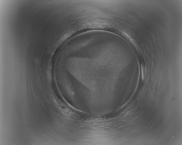 X0000070350675200606161317