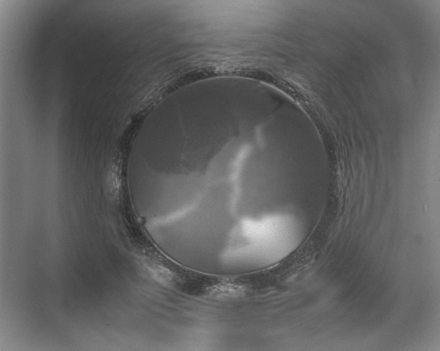 X0000070350691200606161317