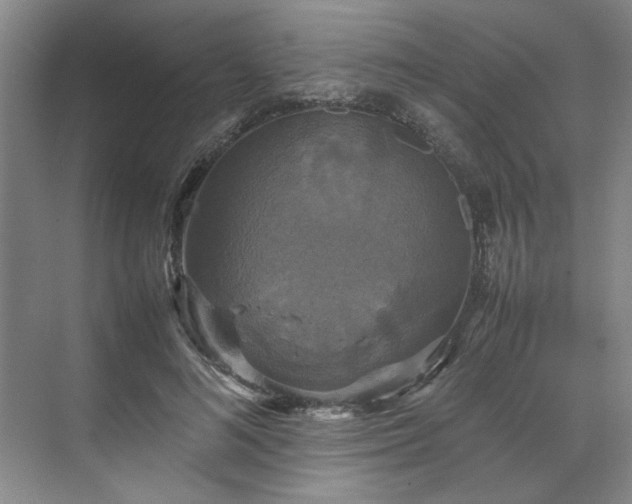 X0000070350692200606161317