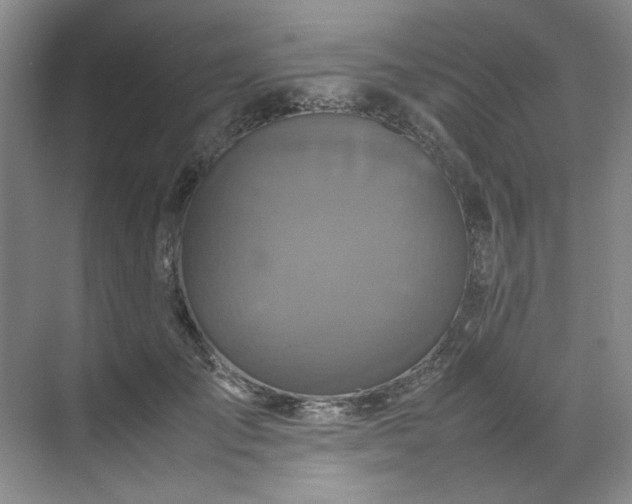 X0000070350701200606161317