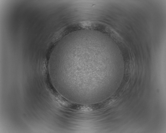 X0000070350702200606161317