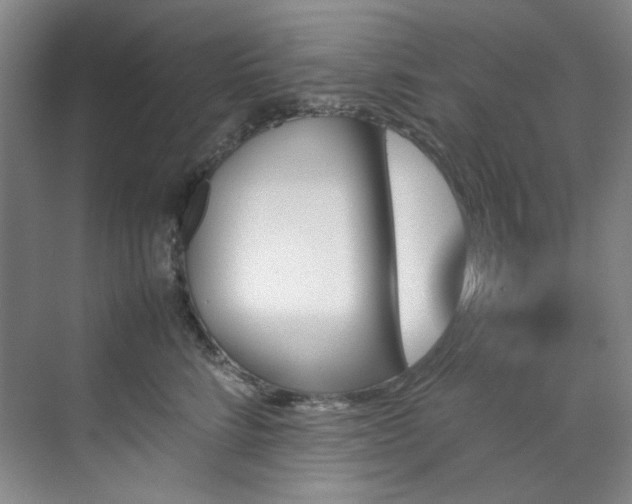 X0000070350712200606161316