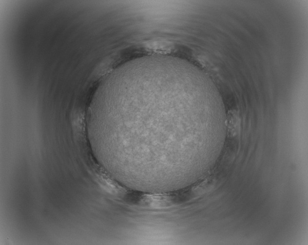 X0000070350713200606161316