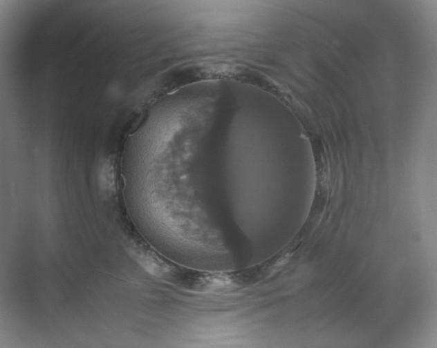 X0000070350715200606161316