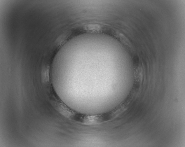 X0000070350717200606161316