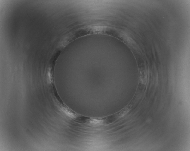 X0000070350718200606161316