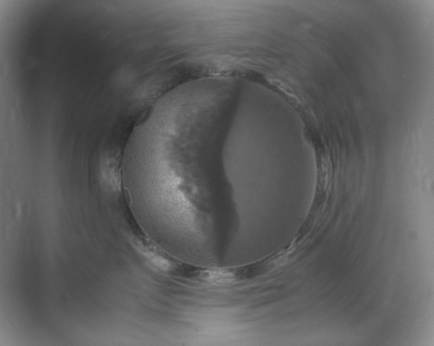 X0000070350719200606161316