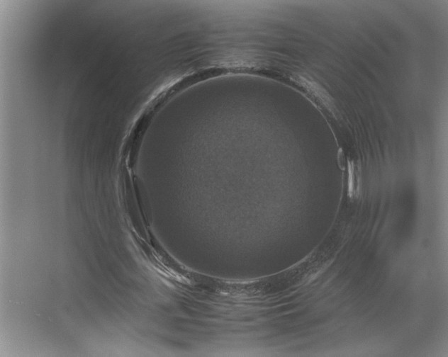 X0000070350723200606161315