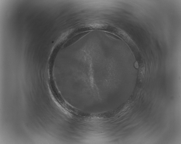 X0000070350734200606161316
