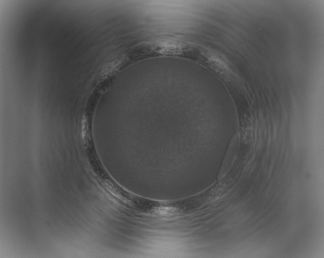 X0000070350748200606161316