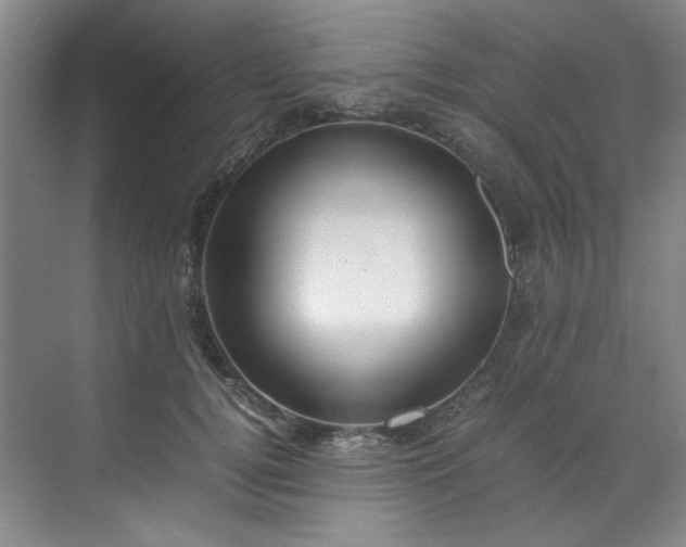 X0000070350752200606161316