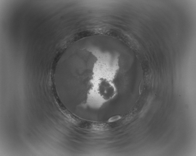 X0000070350757200606161316