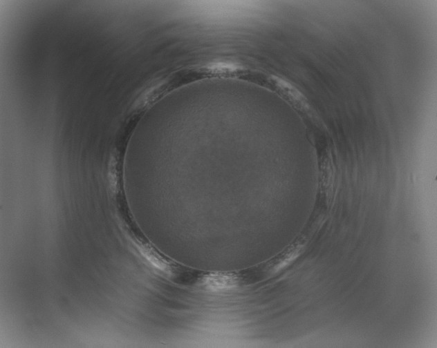 X0000070350762200606161316