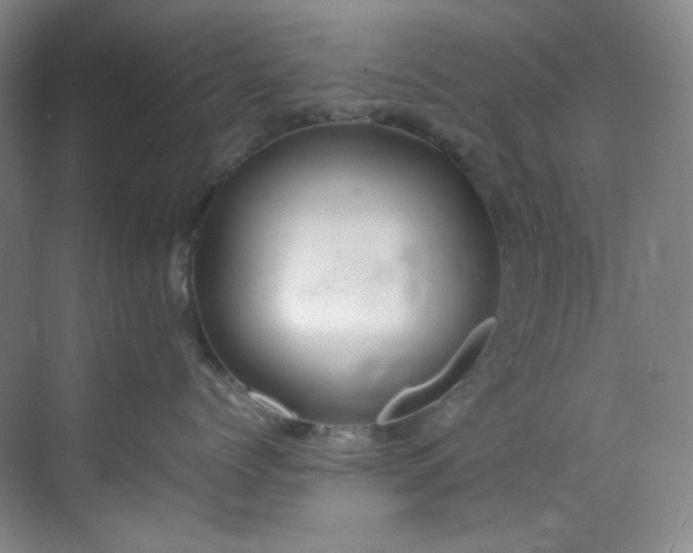 X0000070350768200606161316