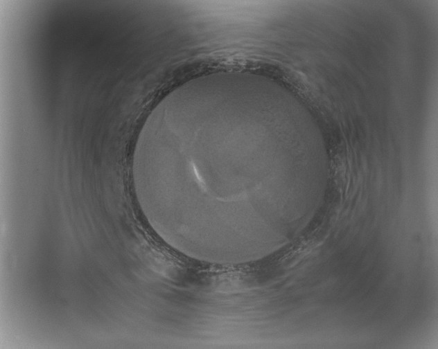 X0000070350769200606161315