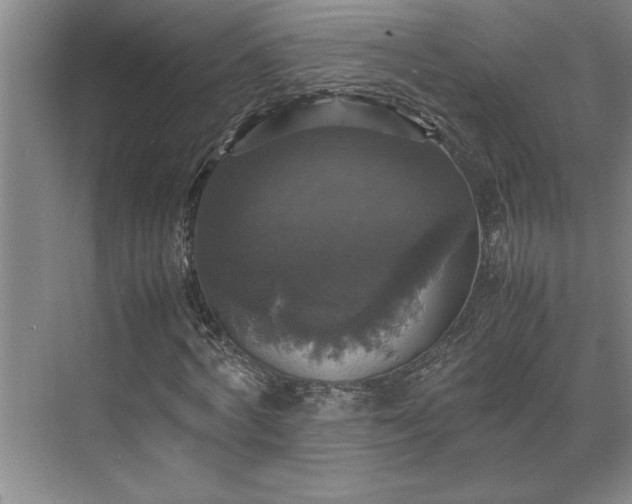 X0000070350772200606161315