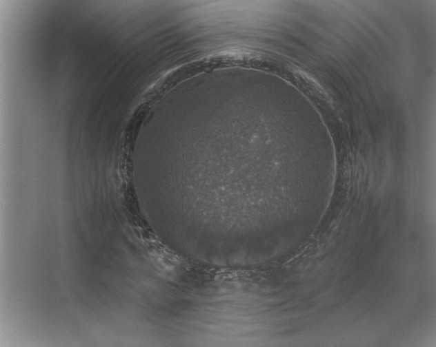 X0000070350776200606161315