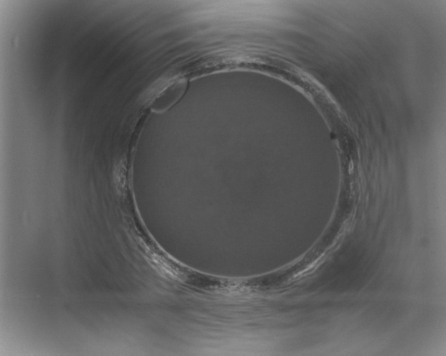 X0000070350785200606161315