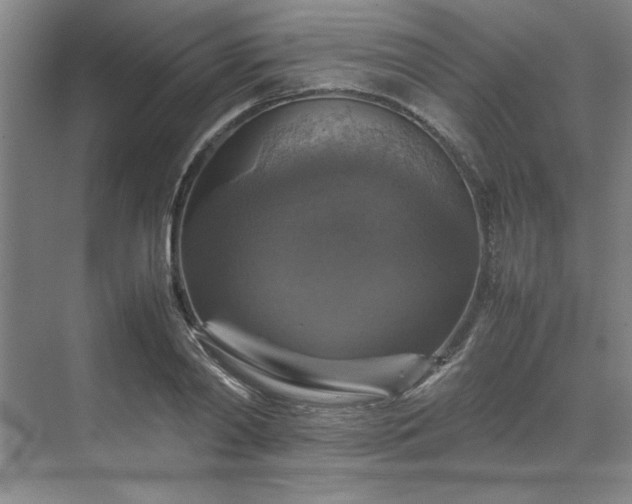 X0000070350790200606161315