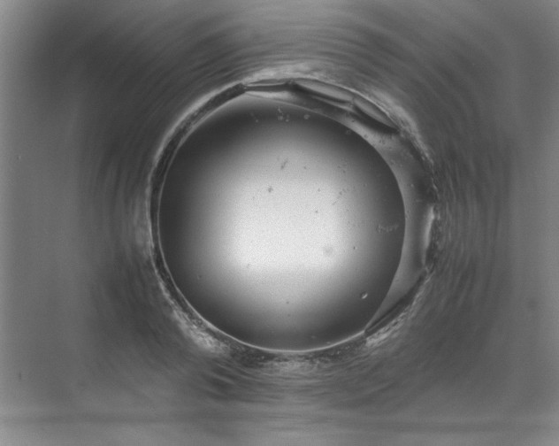 X0000070350792200606161315