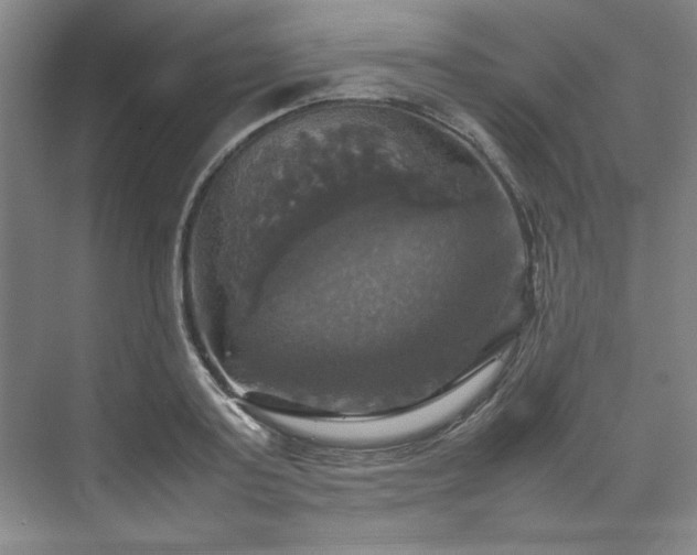X0000070350795200606161315