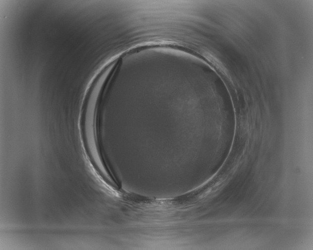 X0000070350797200606161315