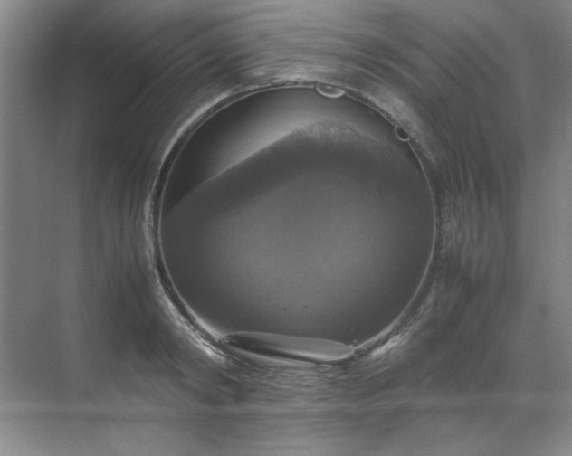 X0000070350798200606161315