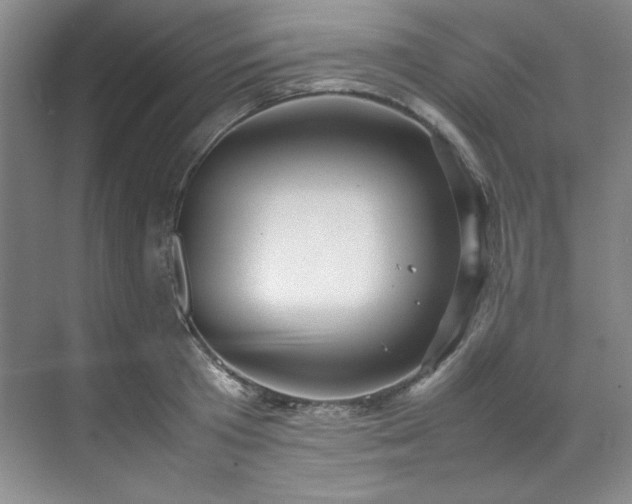X0000070350801200606161315
